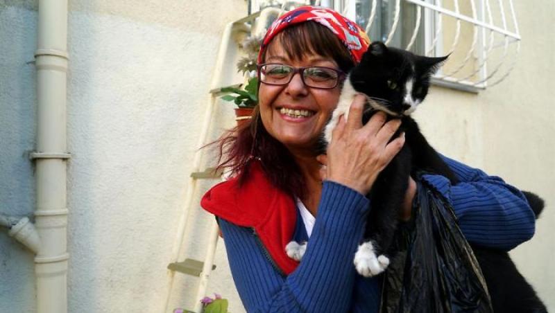 „Iubiți și pisicile vagaboande!” O femeie a construit o scară pentru pisicile fără stăpân ca să poată urca pe geam la ea în casă