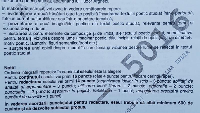 SIMULARE BAC 2017: Eminescu le-a dat din nou bătăi de cap elevilor: eseu dintr-un text aparţinând poetului și rolul verbelor la imperfect şi perfectul simplu dintr-un fragment de Slavici