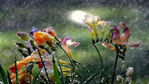 Vremea schimbă foaia: ploile se instalează &icirc;n toată ţara! Prognoza meteo pe două săptăm&acirc;ni nu arată prea bine