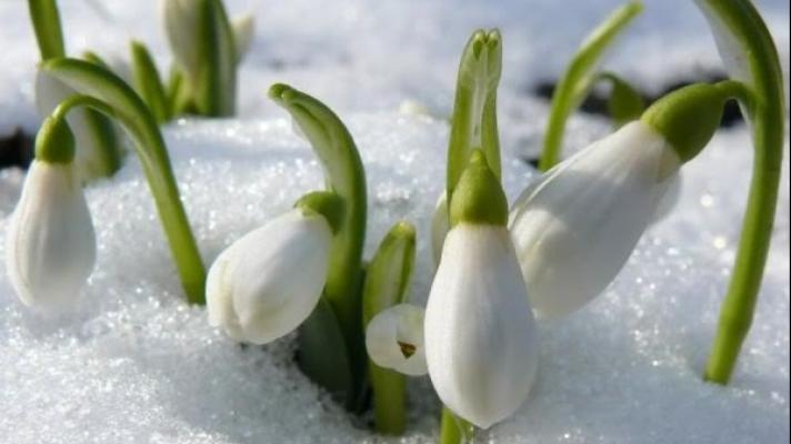 Iarna nu se dă bătută! V&acirc;nt puternic, ploi, lapoviță și ninsori &icirc;n toată țara, p&acirc;nă vineri după-amiază
