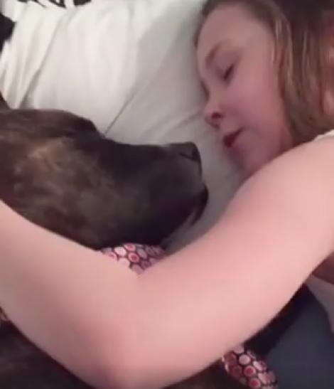 Dovada că prietenia dintre un câine și un copil este cu adevărat specială! O fetiță îi cântă prietenului său patruped melodia "You Are My Sunshine". Câtă emoție în glasul ei!