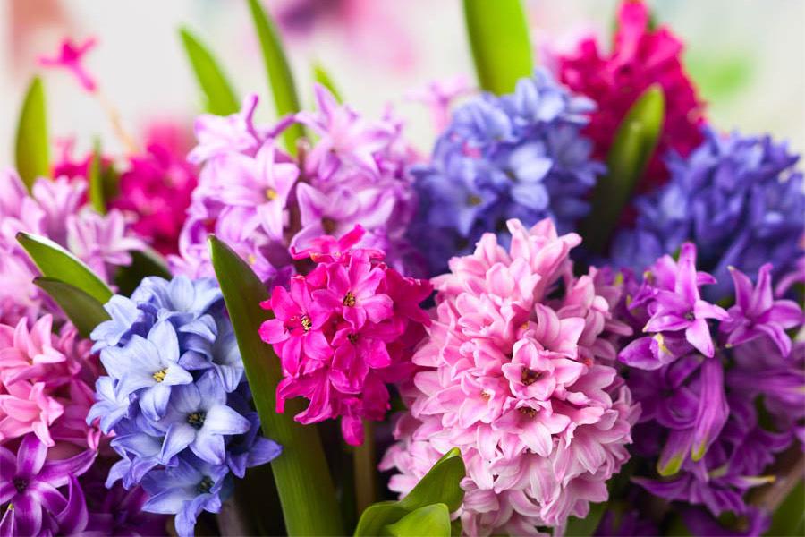 Meteorologii anunță o primăvară capricioasă! Cum va fi vremea &icirc;n următoarele trei luni