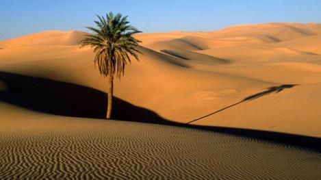 Cine ar fi crezut? Cum arăta deșertul Sahara înainte să ajungă oamenii la el!