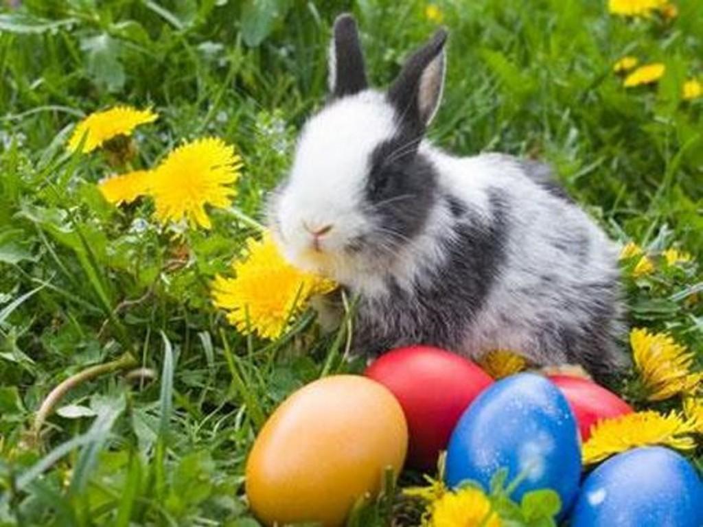 Meteorologii au făcut anunţul! Cum va fi VREMEA de Florii şi de Paşte