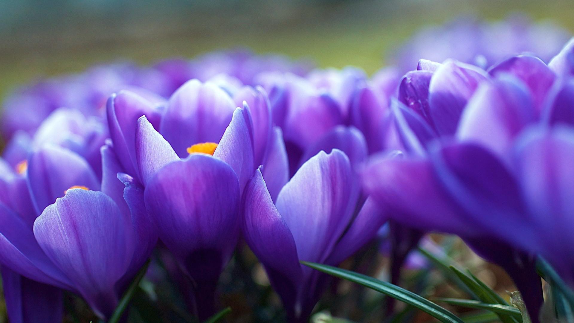 Cum va fi vremea &icirc;n această săptăm&acirc;nă. Doamnelor, 8 Martie ne va aduce primăvara &icirc;n dar?