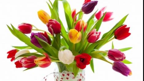 Mesaje de 8 martie. Uimeşte femeile din viaţa ta cu cele mai frumoase URĂRI de 8 MARTIE! Felicitări şi SMS-uri speciale pentru mame, iubite și soții