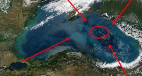 Imaginile care au ÎNCREMENIT PLANETA. Iată ce se ascunde pe fundul Mării Negre! „Le căutăm de zeci de ani”