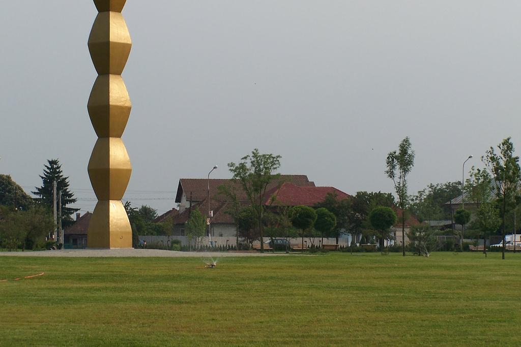 Br&acirc;ncuși s-ar răsuci &icirc;n morm&acirc;nt! Coloana Infinitului a fost scrijelită din nou de o adolescentă. PEDEAPSA, cruntă!