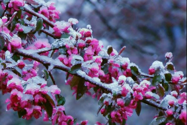 Iarna se &icirc;ntoarce &icirc;n forță &icirc;n masivul Ceahlău, avertizează salvamontiștii
