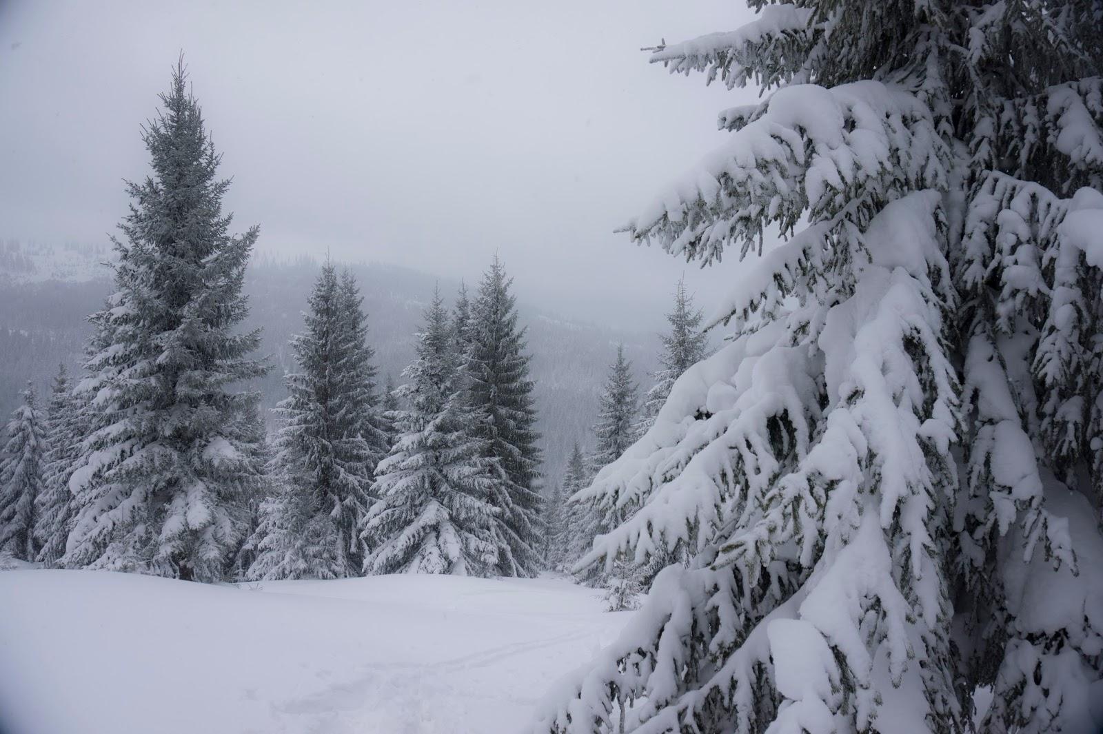 Iarnă &icirc;n plină primăvară! Cinci judeţe, sub avertizare cod portocaliu de ninsori şi viscol