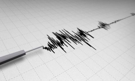 România s-a zguduit! Cutremur cu magnitudinea 3,5 în Vrancea