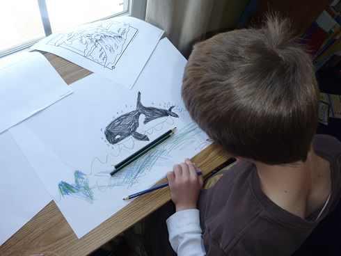 Jocul &bdquo;Balena albastră&rdquo; pune autoritățile pe jar! Ministerul de Interne și Primăria Capitalei anunță o decizie importantă