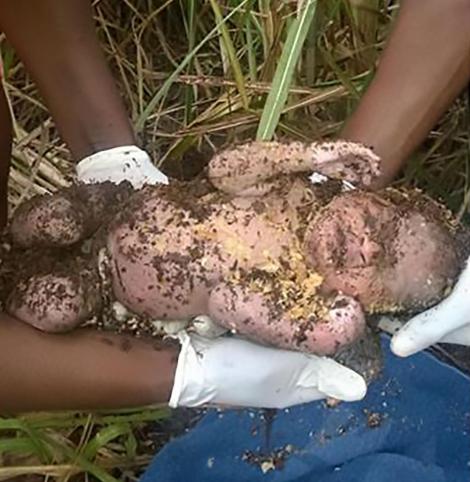 Tu crezi în miracole? Un nou născut, îngropat de viu, a fost găsit, în viață, după trei zile!!! ”Plângea de sub un buștean, acoperit cu nisip!”