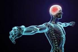 Tu ştii c&acirc;te vise acumulezi pe an? Sau c&acirc;te respiraţii ai pe zi? Găsești TOATE răspunsurile aici!