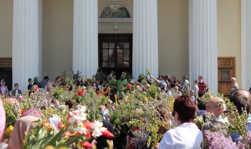 Creștinii sărbătoresc Floriile la sf&acirc;rșitul săptăm&acirc;nii! Ce NU este bine să faci &icirc;n aceaste zile. &Icirc;ncepe de astăzi!