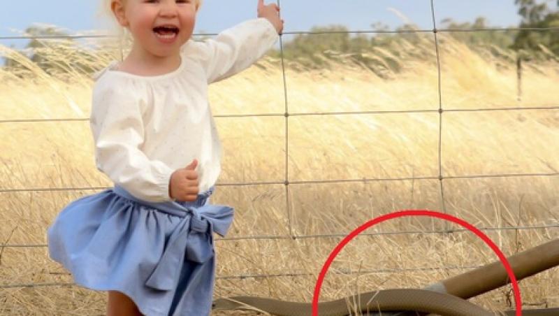 Si-a fotografiat fiica, fără să-și dea seama la ce pericol o expune. O mamică a trăit șocul vieții ei: ,,Am văzut ceva mişcându-se prin iarbă''