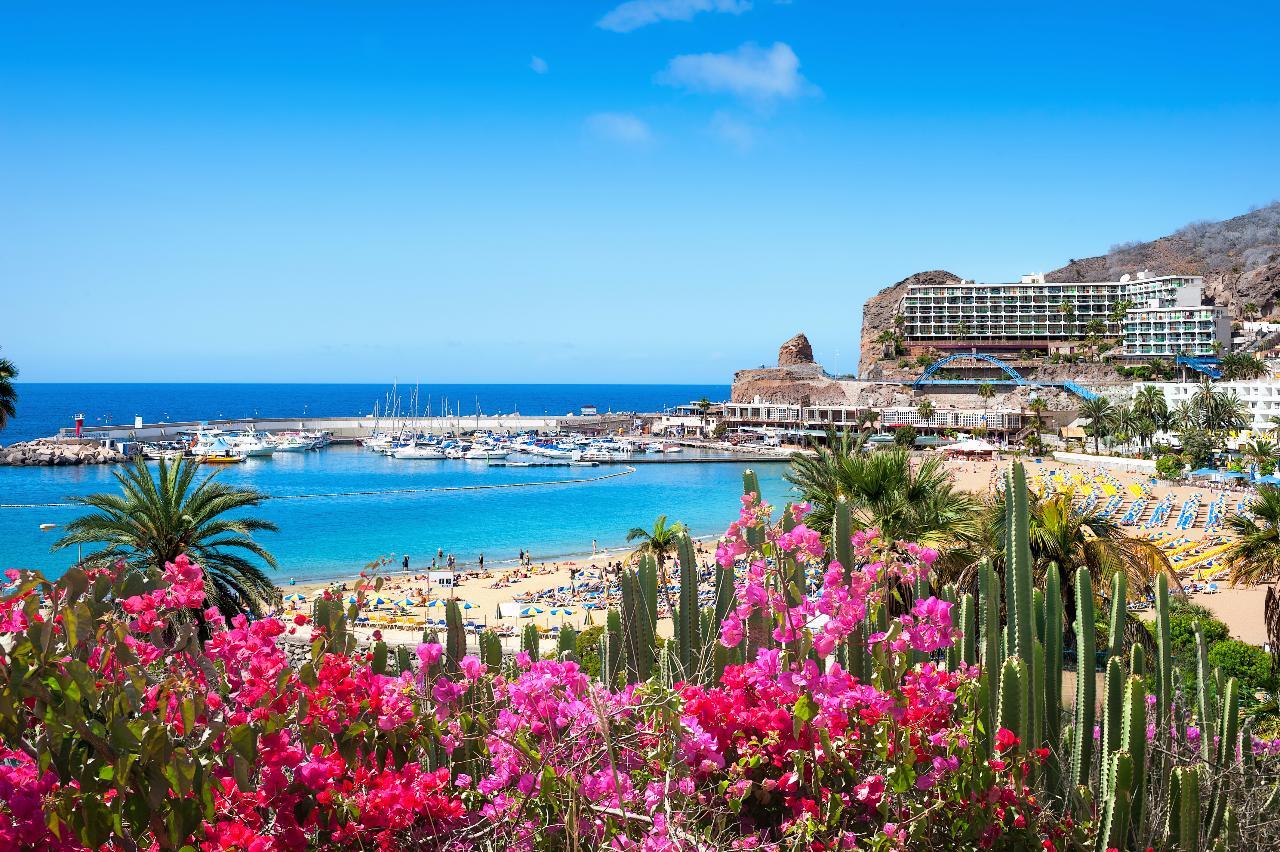 Escapadă în ținutul primăverii: Gran Canaria