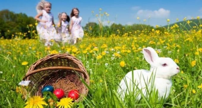 E OFICIAL! Meteorologii au făcut anunţul: De Paşte, VREMEA va fi frumoasă