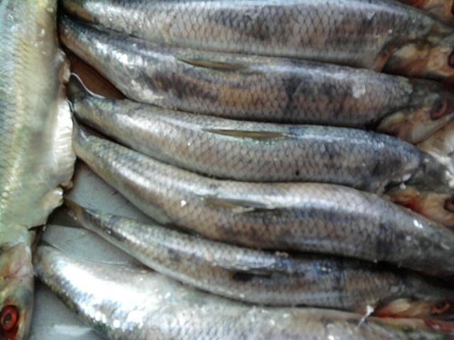 Nu i-a venit să creadă! Ce a găsit un băcăuan &icirc;ntr-un pește cumpărat de la supermarket