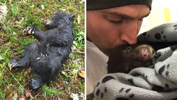 Un fotograf a salvat un pui de urs, chiar dacă fapta lui l-ar fi putut costa libertatea. O poveste care te va impresiona!