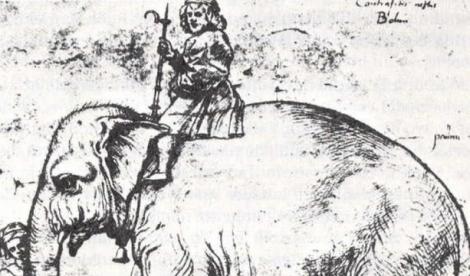 Povestea lui Hanno, elefantul îngropat sub zidurile Palatului ”Belvedere” din Vatican.