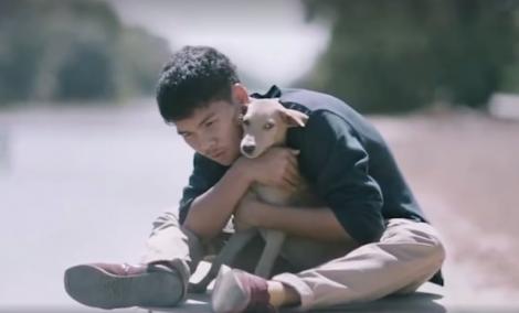 VIDEO EMOȚIONANT: Un tânăr îmbrățișează toți câinii maidanezi pe care-i întâlnește, pentru a le oferi dragostea de care nu au avut niciodată parte. Gestul băiatului te impresionează până la lacrimi
