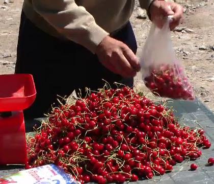 Cireșele se v&acirc;nd mult mai ieftin pe marginea drumului! C&acirc;t costa un kilogram, &icirc;nainte de raziile polițiștilor