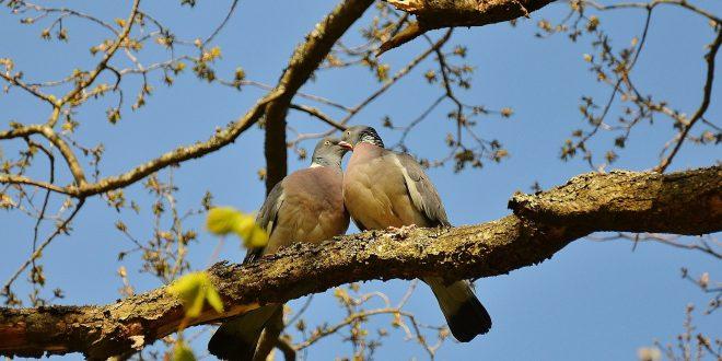 &Icirc;n weekend, toate drumurile duc la munte sau la mare! Cum va fi vremea vineri, s&acirc;mbătă și duminică