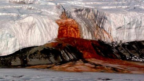 Imagini neobișnuite. „Cascade de sânge” au apărut în Antarctica. Specialiștii au găsit explicația!