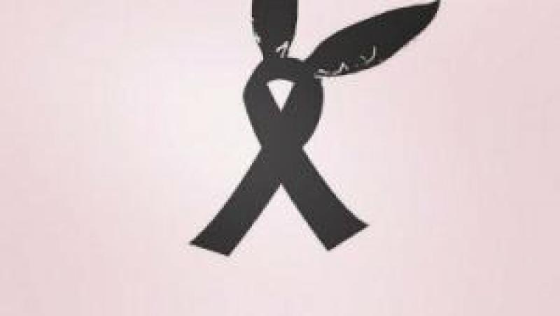 În semn de solidaritate cu victimele ATENTATULUI din Manchester! Faimoasele urechi de iepure, imaginea distribuită de fanii Arianei Grande în mediul online