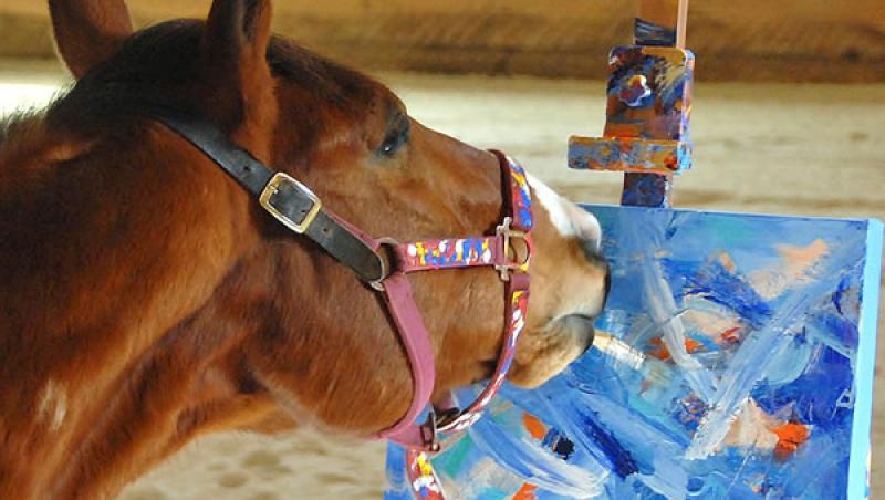 Un fost cal de curse a fost salvat, învățând să picteze: 