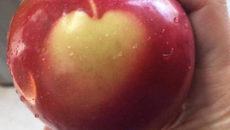 E pe bune! Un tânăr a rămas fără cuvinte când a văzut ce a apărut pe un măr cumpărat din piață!