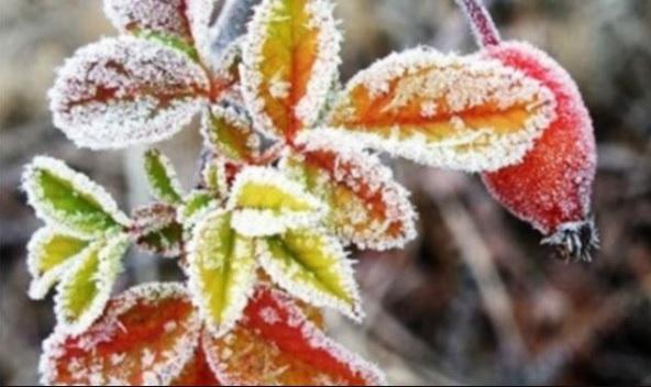 Aerul polar lovește Rom&acirc;nia! Ziua de miercuri aduce precipitații sub formă de lapoviță și ninsoare