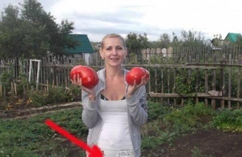O femeie a vrut să se laude cu roșiile sale pe Facebook, dar s-a făcut de râs în ultimul hal! Ce detaliu rușinos s-a văzut