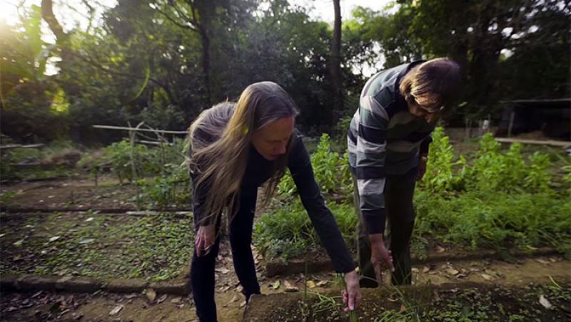 Un cuplu lucrează pentru refacerea unei păduri tropicale de 26 de ani iar rezultatele sunt uimitoare! „N-am simţit niciodată această bucurie, în niciun alt lucru pe care l-am făcut în viaţa mea”