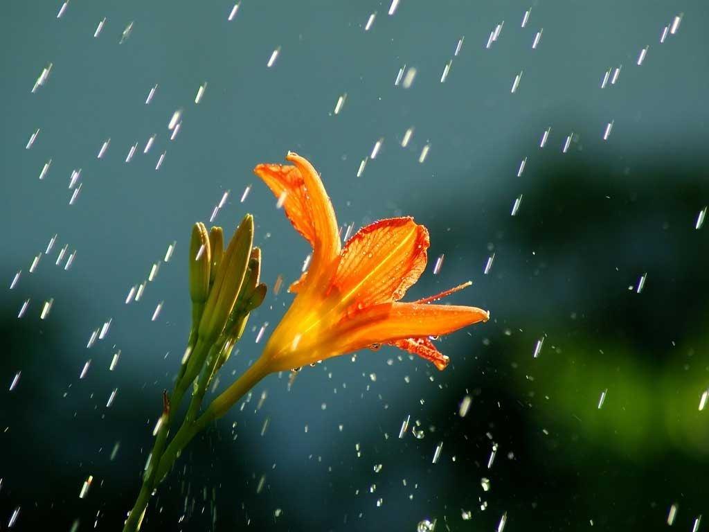 Prognoza meteo pentru weekend: Vremea devine instabilă iar temperaturile scad