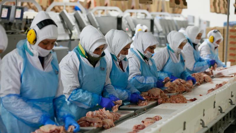 Galerie FOTO! Ce se întâmplă într-o fabrică din Turcia: ”Până ajunge în șaorma e cale lungă!” Procesul de preparare a cărnii de pui, surprins în imagini uimitoare