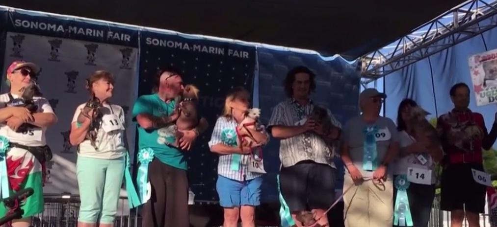 Ai curaj să vezi cum arată cel mai ur&acirc;t c&acirc;ine din lume? Sigur ți se va face milă de bietul patruped