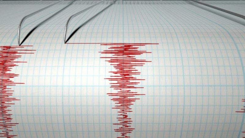 Cutremur cu magnitudinea de 4,2 în județul Vrancea, duminică la prânz