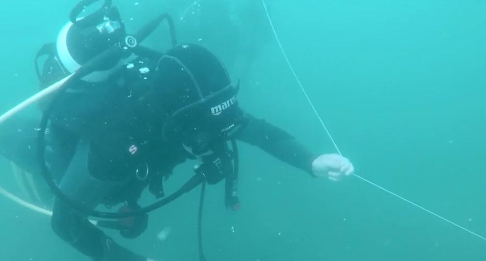 Călătorie &icirc;n lumea din ad&acirc;ncuri! Ce frumuseți se ascund pe fundul Mării Negre