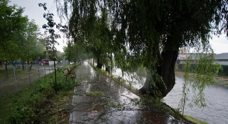 România, între vijelii și caniculă! Copaci doborâţi de furtună, acoperişuri smulse de vântul puternic şi gospodării inundate, bilanţul vijeliilor din ultimele ore în şase judeţe
