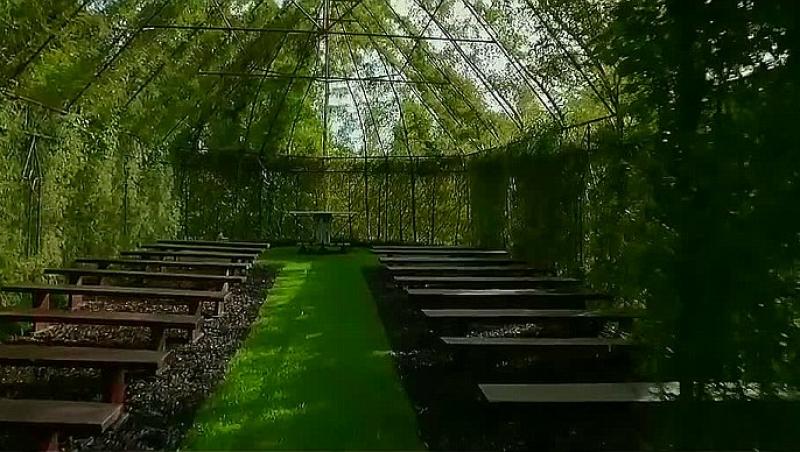 Biserica realizată în întregime din arbori vii! Proiectul ce a pornit din dorinţa de salvare a mediului arată formidabil iar turiştii sunt fascinaţi