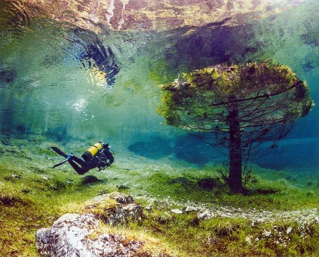 Parcul minune devine vara un lac cu copaci, băncuțe și alei cu flori! Imaginile sunt spectaculoase!