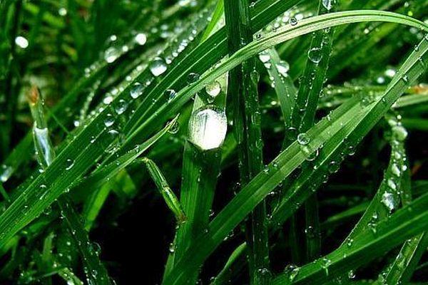 Veşti rele de la meteorologi! Vremea se anunţă capricioasă &icirc;n acest weekend. Zonele afectate de frig şi ploi