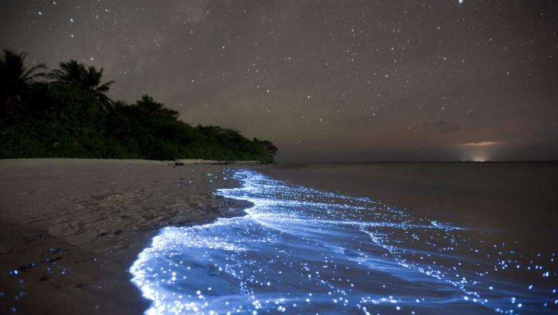 Marea de stele din Maldive, un loc mirific! Insula considerată una dintre cele mai fascinante destinaţii din lume datorită jocului natural de lumini!
