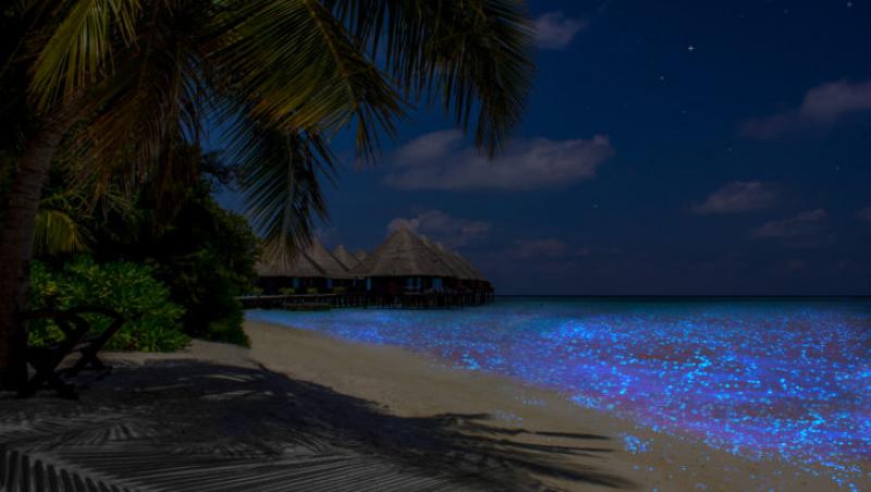 Marea de stele din Maldive, un loc mirific! Insula considerată una dintre cele mai fascinante destinaţii din lume datorită jocului natural de lumini!