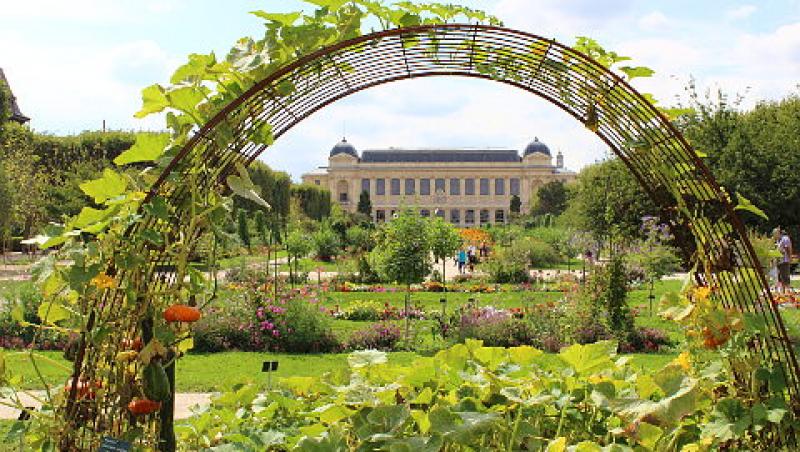 Pe atunci, doar Parisul avea mai multe spații verzi ca Bucureștii! Cum a luat naștere Cișmigiul, locul în care te plimbi și tu azi: ”Dacă o scotea în Grădină, era clar c-o lua de soață!”