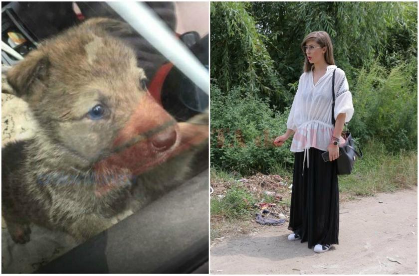 O t&acirc;nără și-a dus c&acirc;inele la dresat și l-a găsit mort, aruncat &icirc;ntr-un sac, pe marginea drumul. Ce s-a &icirc;nt&acirc;mplat cu animalul e &icirc;nfiorător