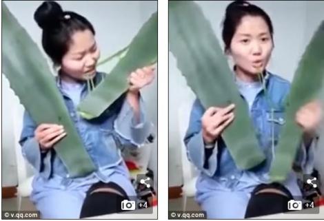 S-a OTRĂVIT ÎN DIRECT. o vloggeriță din China a mușcat dintr-o plantă otrăvitoare crezând că este Aloe Vera