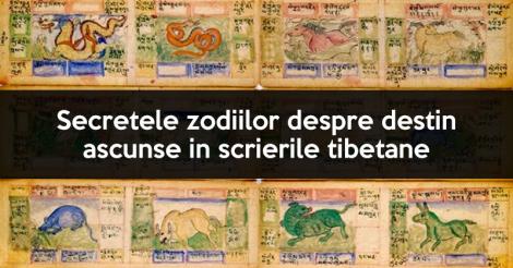 Secretele zodiilor ascunse în scrierile tibetane! Tăblițe de mii de ani demonstrează că „ce ți-e scris în stele, în frunte ți-e pus, omule!”
